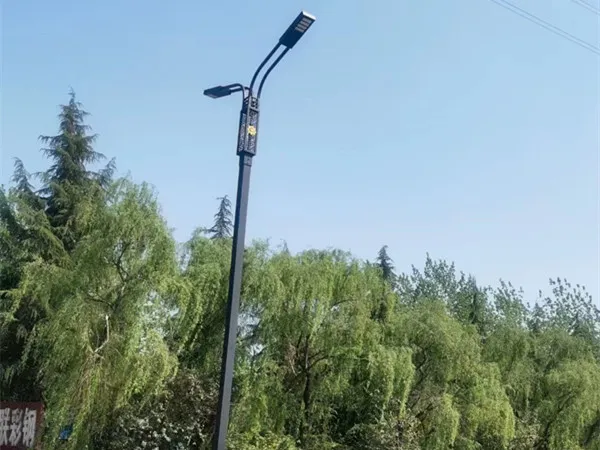 国花路